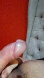 Discreet Dick flashing snapshot 1