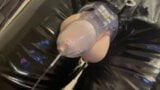 Leaking Thick Cum in Chastity snapshot 2