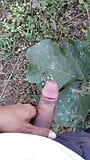 Masturbate in jungal snapshot 10