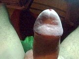 Lick Suck & Eat My Big Hard Juicy Shaved Mega Cock & Balls snapshot 9