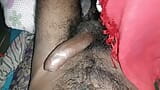 Indian Bihari bhabhi homemade sex snapshot 1