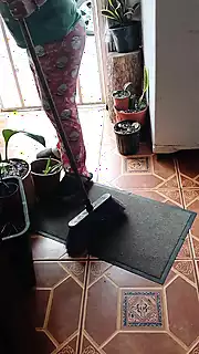 Porn Picture