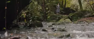 Uyqudagi beixtiyor jinsiy zoravonlik