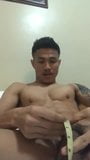 8.5 inch asian dick (29'') snapshot 2