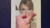 Penghormatan untuk Taylor Swift snapshot 2