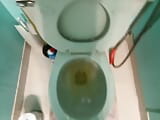 Just peeing no number 2 today snapshot 10