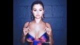 Selena Gomez bikini sexy snapshot 2