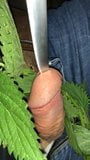 Just4YouAndMe:  Nettle, knive and dick snapshot 4