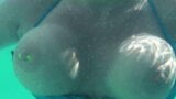 Highandhorny22 Tits out in a public pool! snapshot 5
