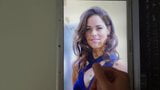 Ana Ivanovic Cum Tribute snapshot 4