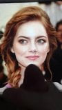 Tribute to Emma Stone snapshot 1