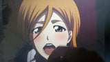 Orihime inoue eerbetoon snapshot 5