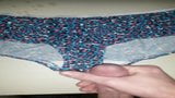 Vid 1 Cum on Panties snapshot 3