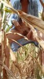 Task: Squirt in corn field snapshot 1