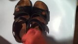 My small cock jizzed on girlfriend sandals snapshot 2