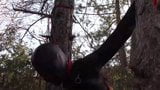 Tied to a tree, masked and outdoor deepthroated with no mercy snapshot 10