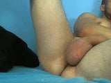 Young hairy bear has huge balls snapshot 10