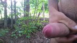 Wanking in the nature snapshot 9