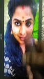 Uma Nair Cum Tribute(Vanambadi Serial Actress) Mallu Actress snapshot 1