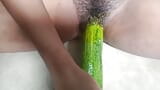 Whole CUCUMBER in My DARK pussy . Taking A Huge Cucumber in my pussy .  Fucking with cucumber . Painful sex video. snapshot 2