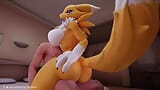 Furry Digimon Renamon ride you snapshot 12