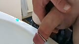 Penis plug pissing snapshot 2