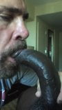 daddy bear swallows bbc snapshot 8