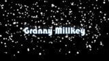 Produções de fantasia personalizadas - vovó millkey snapshot 1