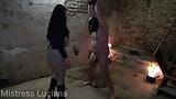 Violently something in the Slaveballs snapshot 3