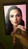 Gal-Gadot, Sperma-Hommage snapshot 3