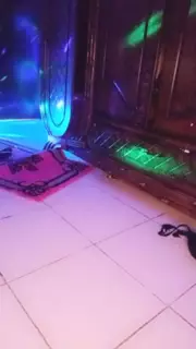 Tango Maroc Jihan Charmota | xHamster