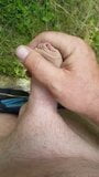 Roadside wank snapshot 3