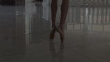 Balerina snapshot 1