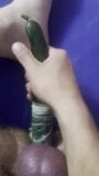 Young teen inserting two cucumbers in his little ass at home snapshot 2