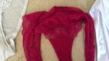 Panties Cum over red knickers snapshot 1