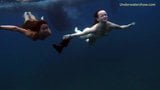 Морские приключения на Тенерифе под водой snapshot 13