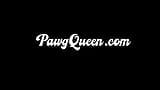 PAWgQueen ryan smiles e Breyona moore condividono un grosso cazzo nero snapshot 1