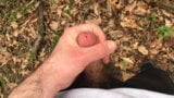 hairy wank and cum in the woods snapshot 6