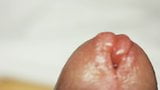 close up cock cumming snapshot 2