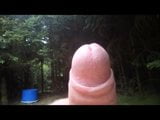 Jerking off in the woods snapshot 5