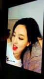 Twice's nayeon - homenagem a porra snapshot 7