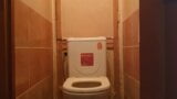 Cd fucked ass dildo in the toilet Russian Video snapshot 11