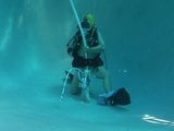 SCUBA Bear feeding pool cleaner snapshot 3