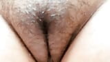 Hairy desi Indian pussy snapshot 4