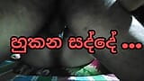 Sri lankan couple sex sound  api hukana sadde ahanna anna. snapshot 13