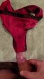My wife's red dirty panties snapshot 4