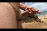 Wanking at the Beach snapshot 1