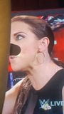 Wwe stephanie mcmahon facefuck pt1 snapshot 4