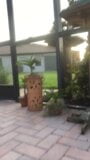 Masturbation On The Patio snapshot 1