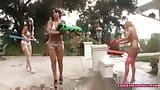 Gangbang Archive - gangbang ao lado da piscina snapshot 3